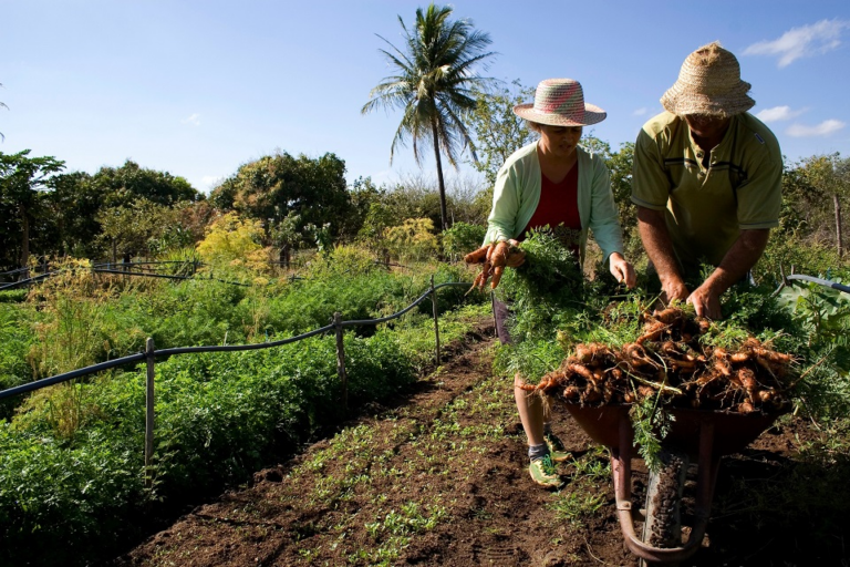 La agricultura familiar, un compromiso arraigado en la tierra colorada