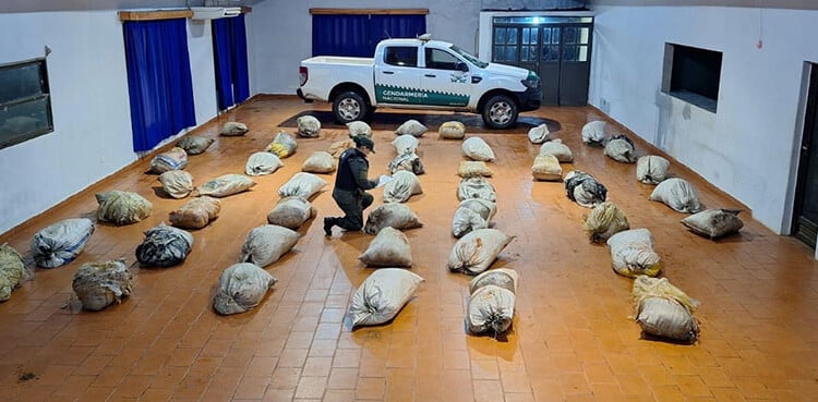 Gendarmería decomisó más de una tonelada de marihuana en Misiones