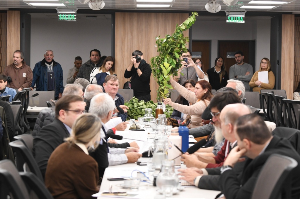 Crisis yerbatera en el Congreso: productores, trabajadores y el INYM&hellip;