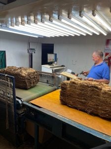 Más de $5.540 millones del FET llegarán a productores tabacaleros de Misiones el 27 de…
