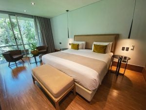 Selvaje Lodge ofrece promociones de invierno para hospedarse en la Selva Iryapú