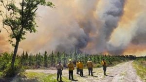 La temporada de incendios en Estados Unidos ya es histórica&hellip;