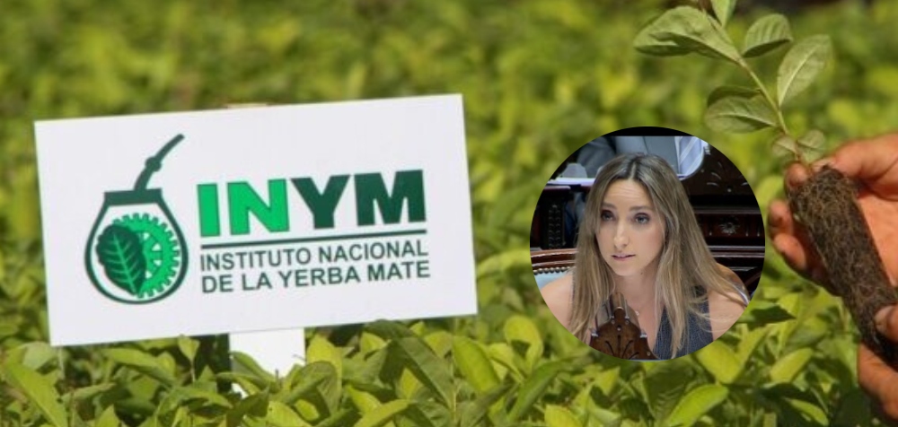 Debate en el Congreso por el INYM: piden restituir la…
