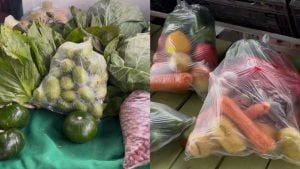 El Mercado Concentrador de Eldorado: productos frescos del norte misionero con precios más bajos que&hellip;