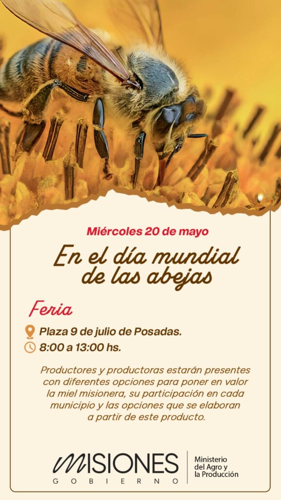 Día Mundial de las Abejas: feria en Posadas, jornadas en&hellip;