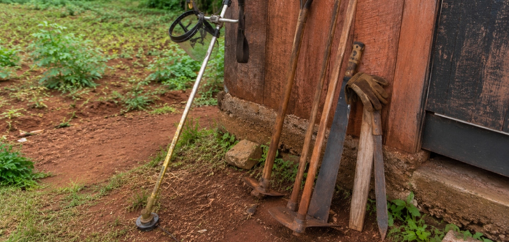 Cada vez menos manos para trabajar el campo: la escasez&hellip;