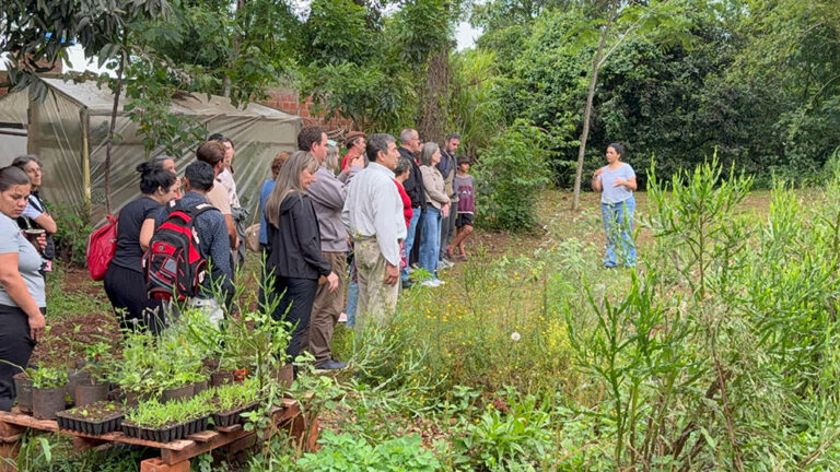 Historia de la medicina en Ruiz de Montoya: plantas, parteras y solidaridad entre vecinos