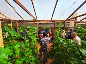 San Vicente fue sede de una jornada técnica sobre producción de sandía y melón fuera de estación bajo invernadero