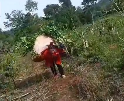Trabajó en yerba desde los 14, migró a Brasil y…