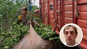 Yerba mate y té en crisis: sin rentabilidad, sin tareferos&hellip;