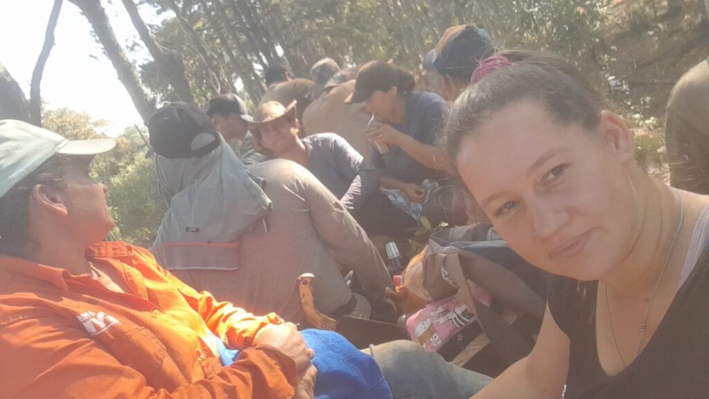 Falta mano de obra en los yerbales: la migración a…