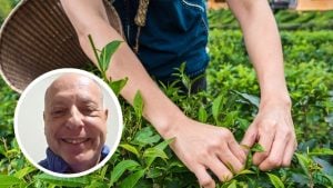 El sector tealero misionero alerta por el atraso cambiario y&hellip;