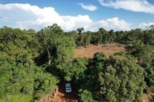 Un empresario forestal denuncia usurpación en Garuhapé y acusa a EMIPA de organizar el ingreso…