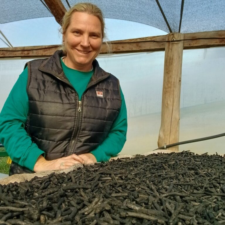 INTA Cerro Azul investiga cómo convertir los palitos de yerba mate en biocarbón para mejorar…