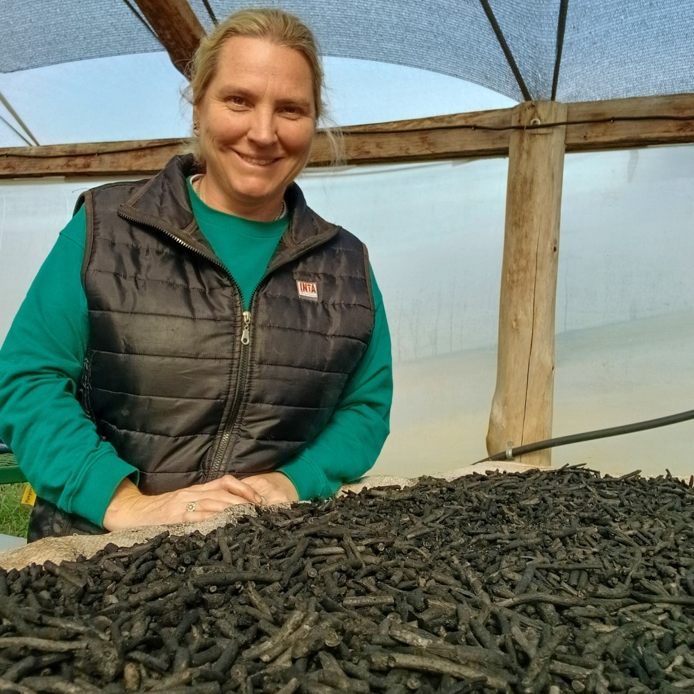 INTA Cerro Azul investiga cómo convertir los palitos de yerba…