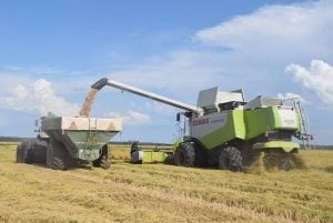 El Niño amenaza con inundar hasta 3 millones de hectáreas en Corrientes desde septiembre