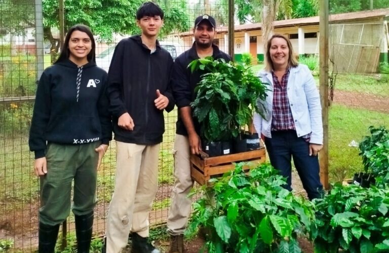 El café misionero da sus primeros pasos institucionales: nació la mesa provincial del sector