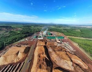 Un seminario gratuito analizará el estado del sector forestal argentino…