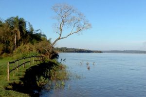El Ministerio de Ecología confirmó que no existe evaluación de impacto ambiental sobre el proyecto Corpus – Pindo-í