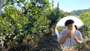 APAM exige la renuncia del presidente del INYM y denuncia que la hoja verde se&hellip;
