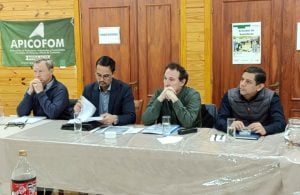 Industriales madereros y metalúrgicos de Misiones alertan por aumentos de…