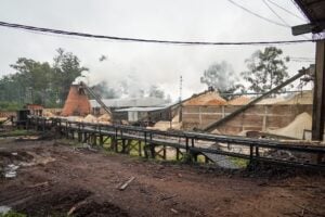 Cierre del aserradero Linor en Azara: 130 trabajadores buscan cobrar indemnizaciones y el sindicato denuncia mala fe de la empresa