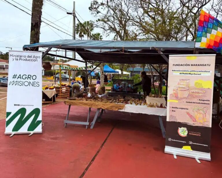 Capioví celebró la 4° Fiesta Provincial de la Meliponicultura con foco en la yateí y&hellip;