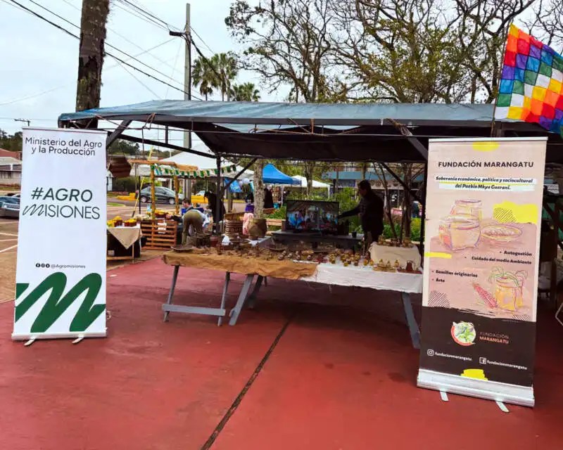 Capioví celebró la 4° Fiesta Provincial de la Meliponicultura con foco en la yateí y la identidad guaraní