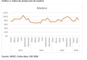La producción maderera cayó 13,6% en mayo y los aserraderos&hellip;