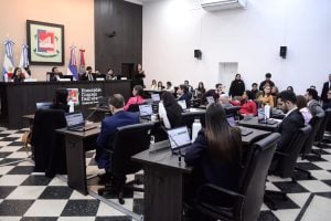 El HCD de Posadas debate un programa para cuidar el arbolado urbano con vecinos y…