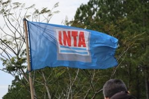 El INTA en Misiones perdió 43 trabajadores por retiros voluntarios y advierten que sectores quedaron sin especialistas