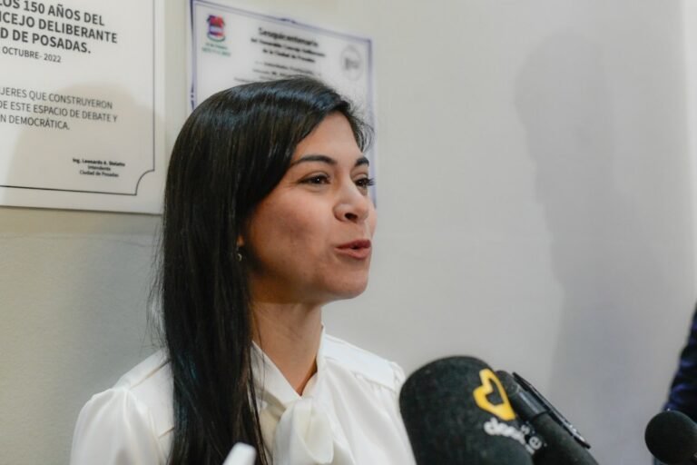 El HCD de Posadas avanza en la actualización de la ordenanza de los Premios Arandú