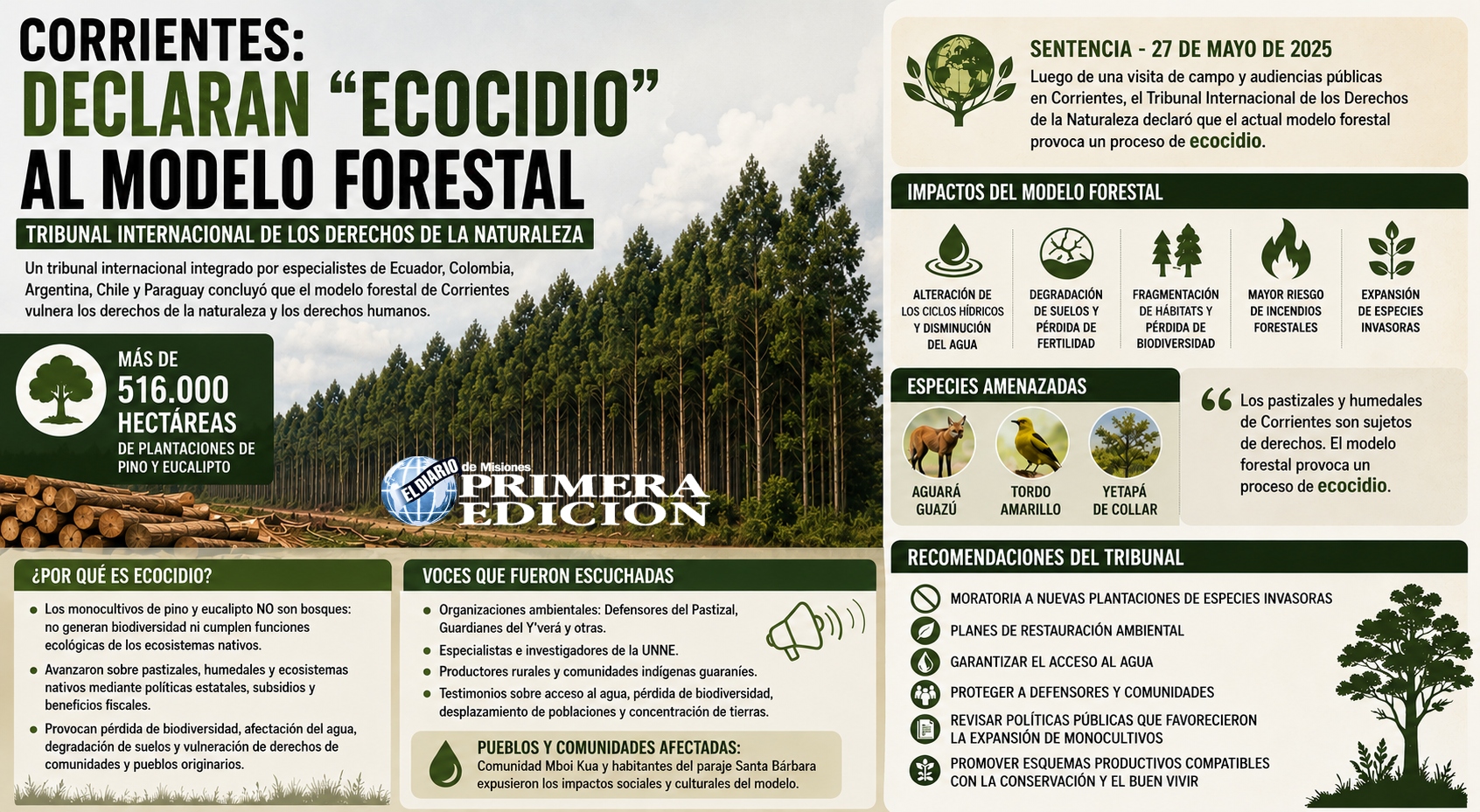 Un tribunal internacional calificó de «ecocidio» al modelo forestal de…