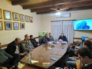 El sector maderero del Alto Paraná llega al cierre del…