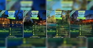 Selvaje Lodge y Misiones Maravilla: paquetes para conocer Cataratas y el Paseo de la Luna…