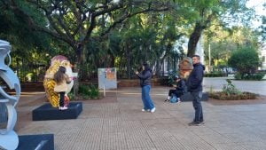Siete esculturas de lechuzas caburé se exhiben en la Plaza 9 de Julio de Posadas como parte de la muestra «Vida entre Árboles»