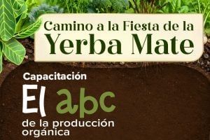 Capacitación gratuita sobre producción orgánica en Apóstoles, en la previa de la Fiesta de la…