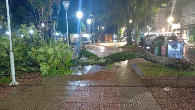 Posadas: el municipio salió a limpiar la ciudad tras las lluvias de la madrugada