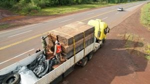 El Ministerio de Ecología intensifica controles del transporte de madera nativa en el norte provincial