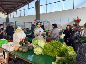 El Mercado Concentrador de Eldorado tendrá una sala de industria gratuita para productores de la…