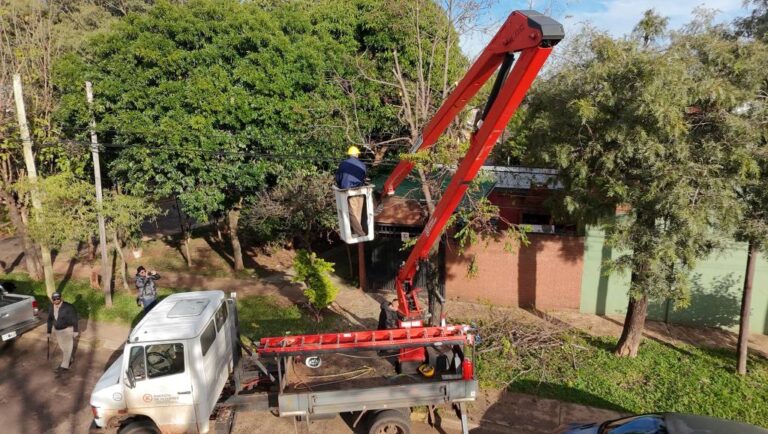 Energía de Misiones realiza trabajos de mantenimiento preventivo en Villa Cabello con cortes programados