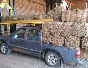 La producción tabacalera de Misiones fue la más alta en&hellip;
