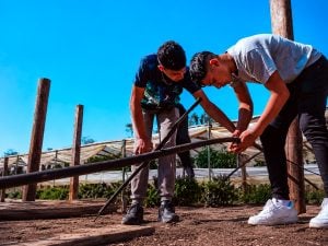 Ahora Chacra ya tiene más de 60 comercios adheridos y…