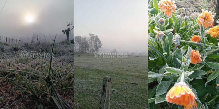 Ola polar en Misiones: Puerto Iguazú y Eldorado rozaron los cero grados en el amanecer&hellip;