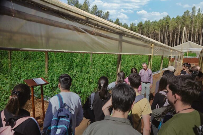 Docentes de escuelas agropecuarias de Misiones se capacitarán en tecnologías hortícolas en San Vicente
