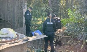 Tragedia en El Soberbio: un podador murió aplastado por una rama en la Ruta Provincial…