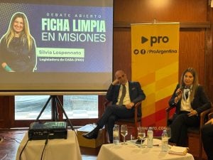 Debate en Posadas: la oposición rechaza el proyecto de Ficha Limpia del oficialismo y pide una ley centrada en corrupción