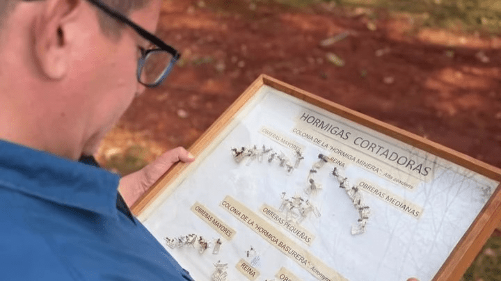 Capacitaron a productores de Salto Encantado en manejo agroecológico de…