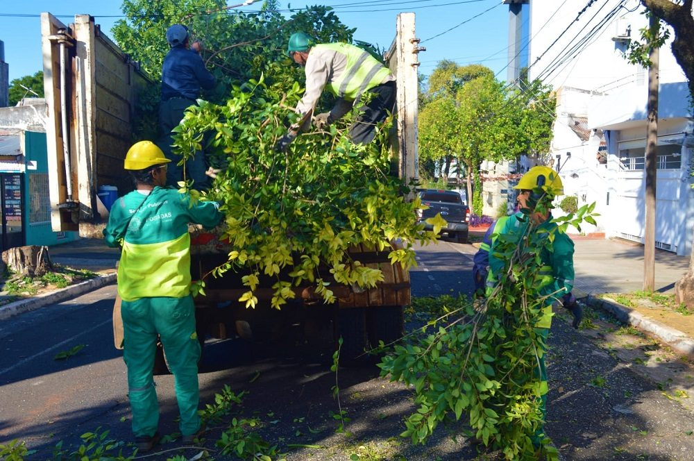 Posadas lleva tres semanas de poda urbana y aprovecha los residuos verdes para compost y leña comunitaria