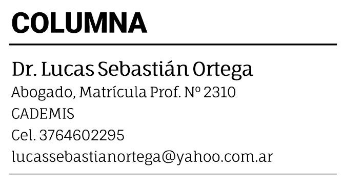 Ataques de perros en Posadas reactivan el debate sobre la identificación obligatoria de mascotas